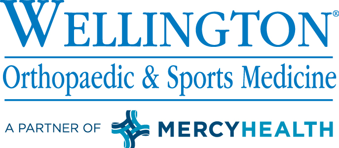 2013 Mercy & Wellington logo